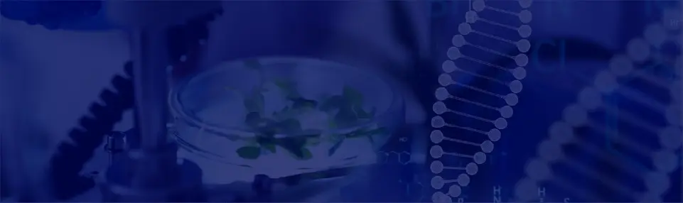 Bioengineering Transforming Health Industry and Sustainability