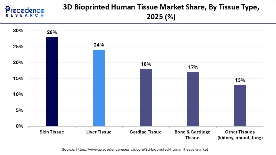 3D Bioprinted Human Tissue Market Share, By Tissue Type, 2025 (%)