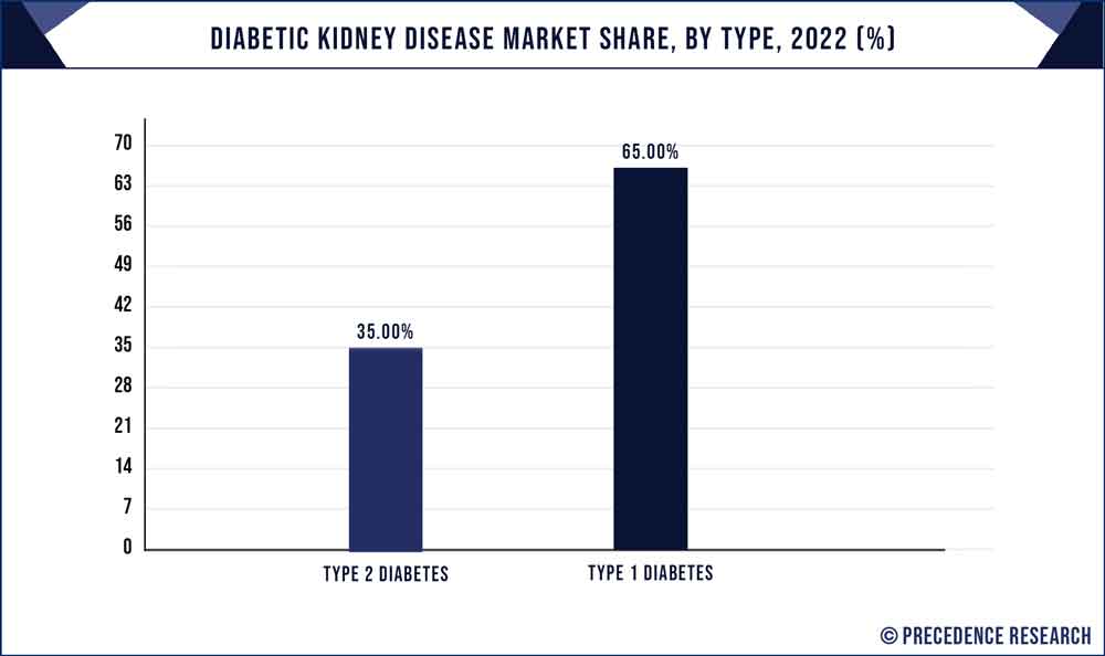 Diabetic Kidney Disease Market Share, By Type, 2022 (%)