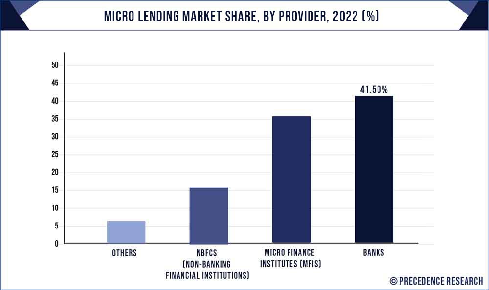 Micro Lending Market Share, By Provider, 2022 (%)