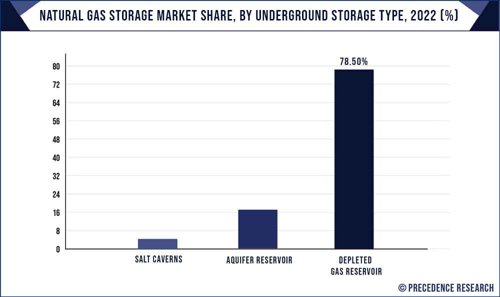 Natural Gas Storage Market Share, By Underground Storage Type, 2021 (%)