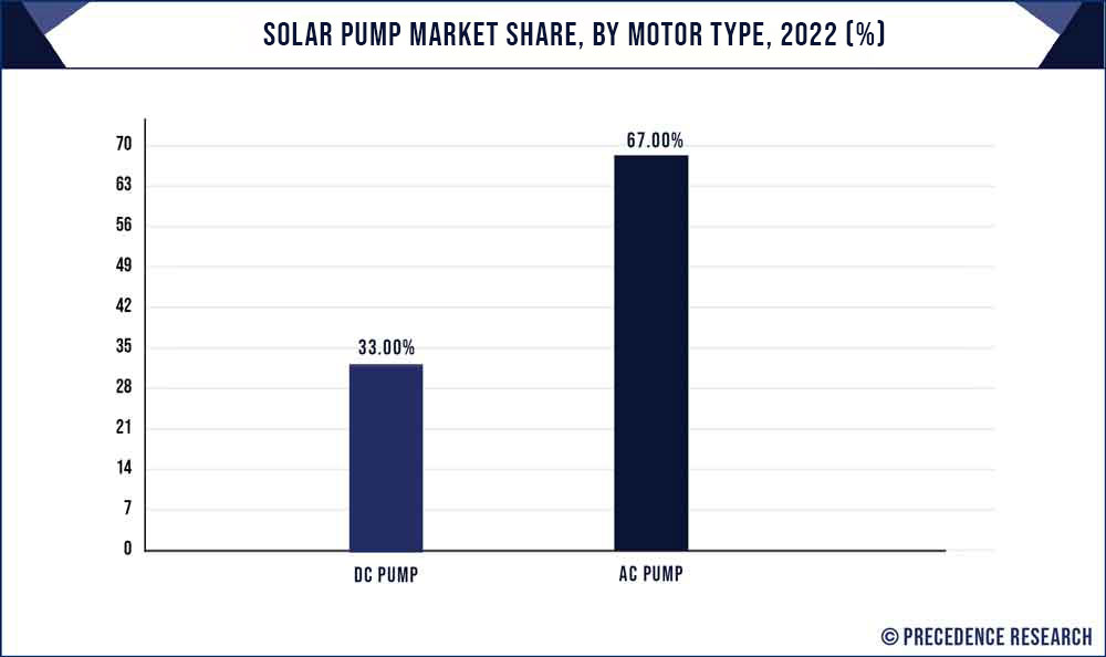 Solar Pump Market Share, By Motor Type, 2022 (%)