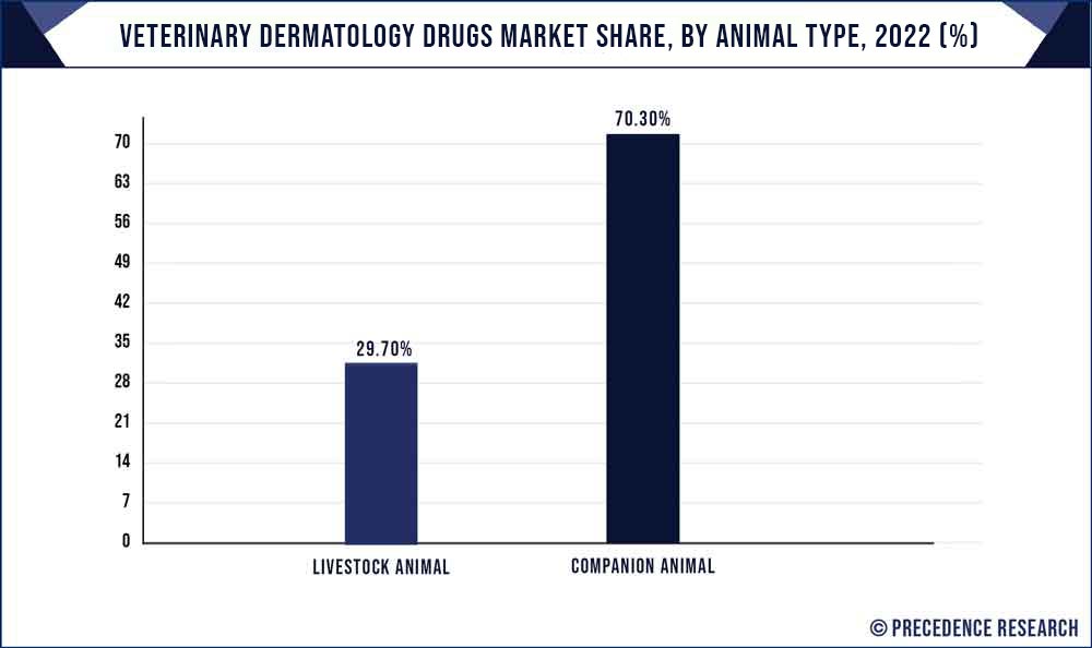 Veterinary Dermatology Drugs Market Share, By Animal Type, 2021 (%)