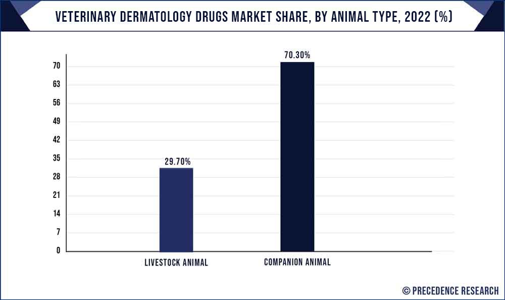 Veterinary Dermatology Drugs Market Share, By Animal Type, 2022 (%)