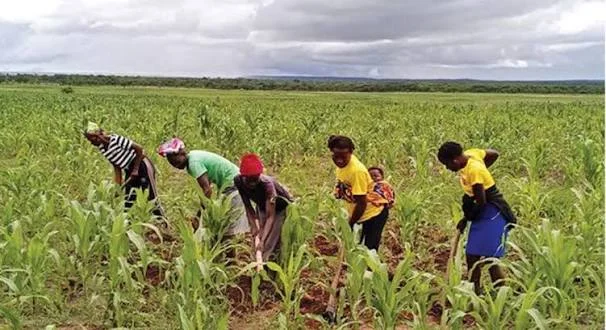 Agricultural Drive to Enhance Food Production