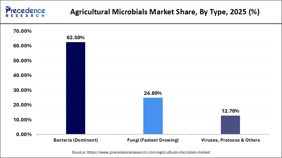 Agricultural Microbials Market Share, By Type, 2025 (%)