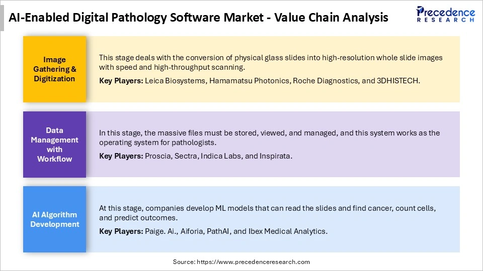 AI-Enabled Digital Pathology Software Market Value Chain Analysis