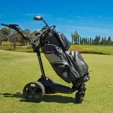 AI Golf Caddie