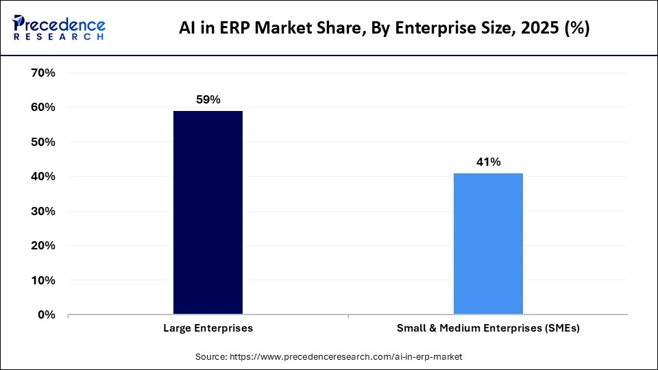 AI in ERP Market Share, By Enterprise Size, 2025 (%)