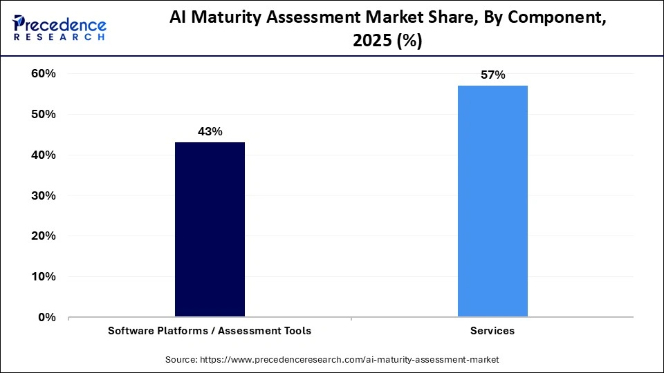 AI Maturity Assessment Market Share, By Component, 2025 (%)