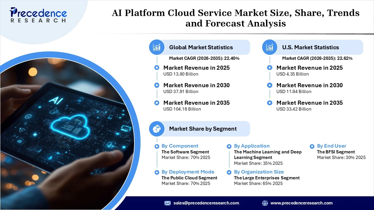 AI Platform Cloud Service Market Revenue Statistics