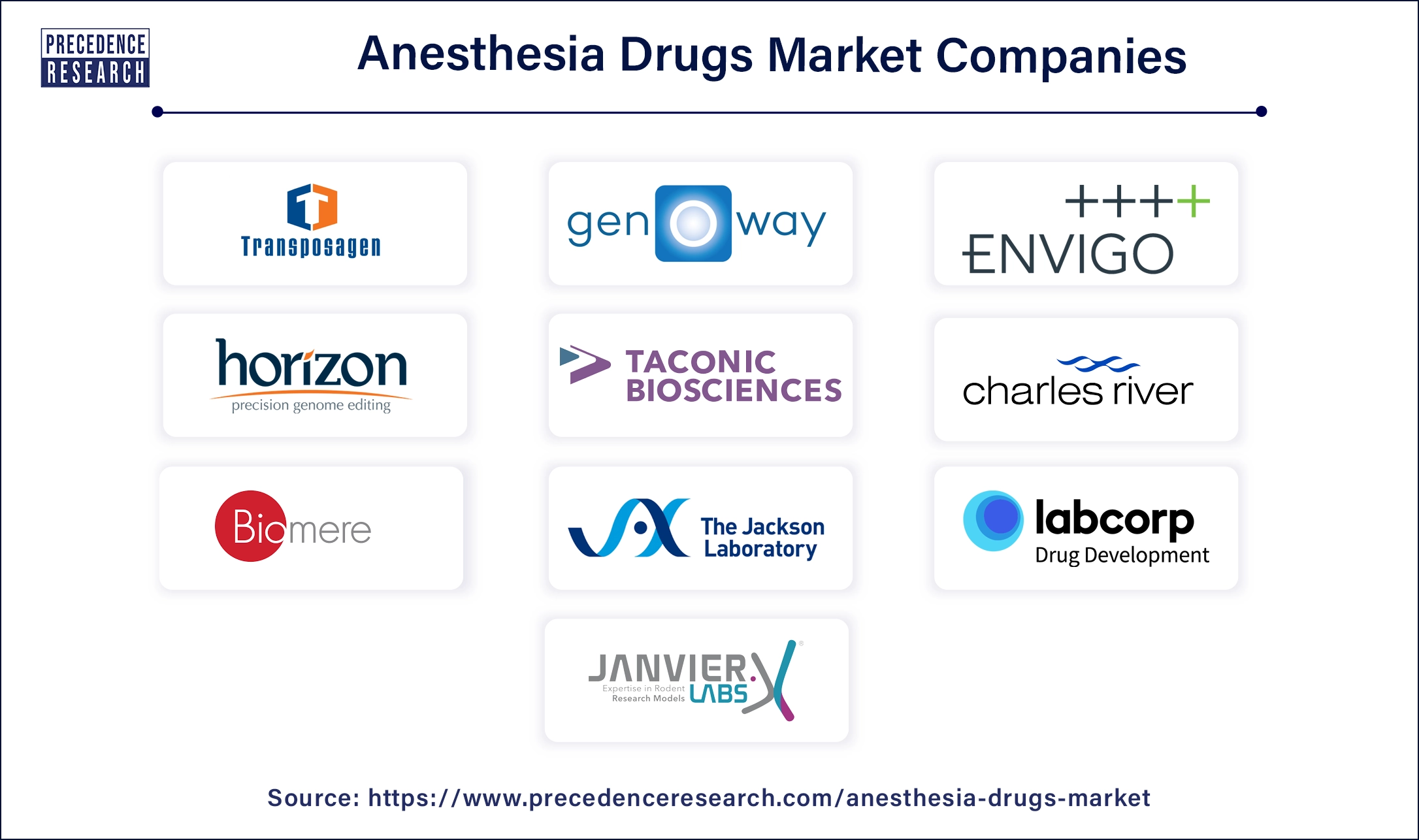 Anesthesia Drugs Key Players