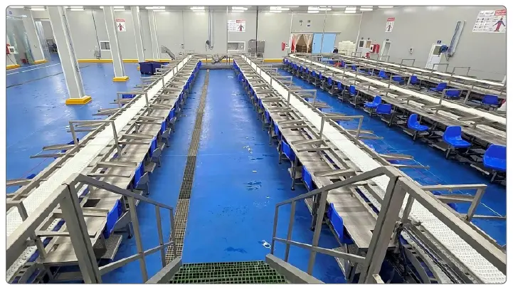Anfa Group Tuna Canning Factory Morocco Anfa Group Tuna Canning Factory Morocco