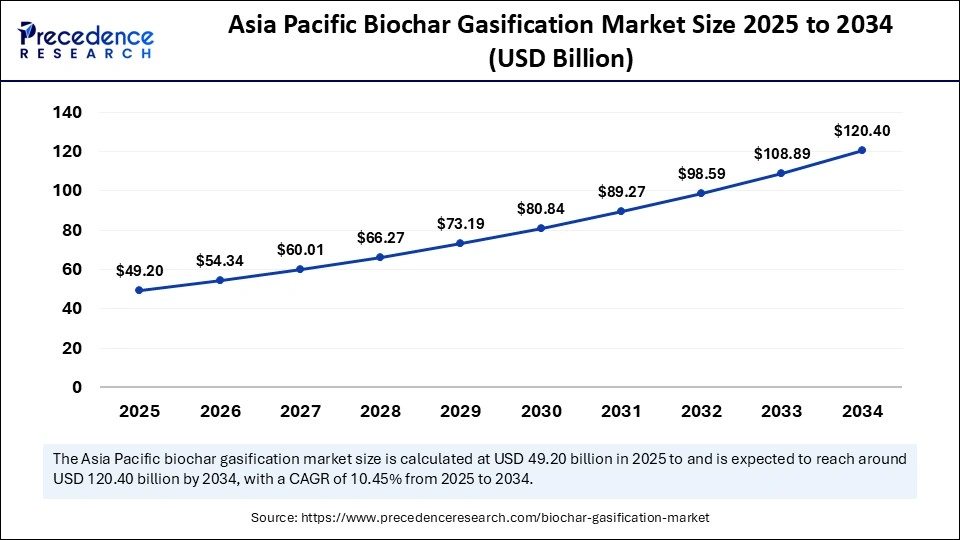 Biochar Gasification Market Size 2025 to 2034 Biochar Gasification Market Size 2025 to 2034