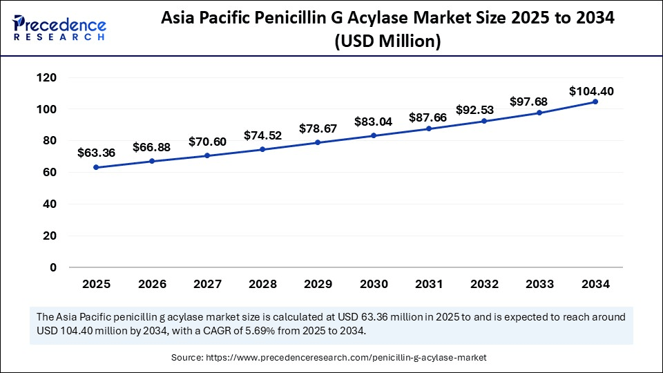 Asia Pacific Penicillin G Acylase Market Size 2025 to 2034