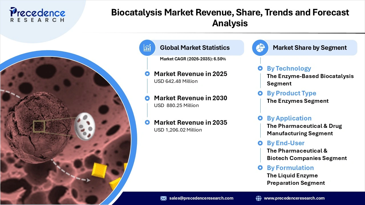 Biocatalysis Market Revenue Statistics