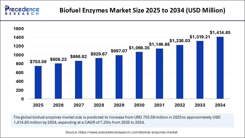 Biofuel Enzymes Market Size 2025 to 2034