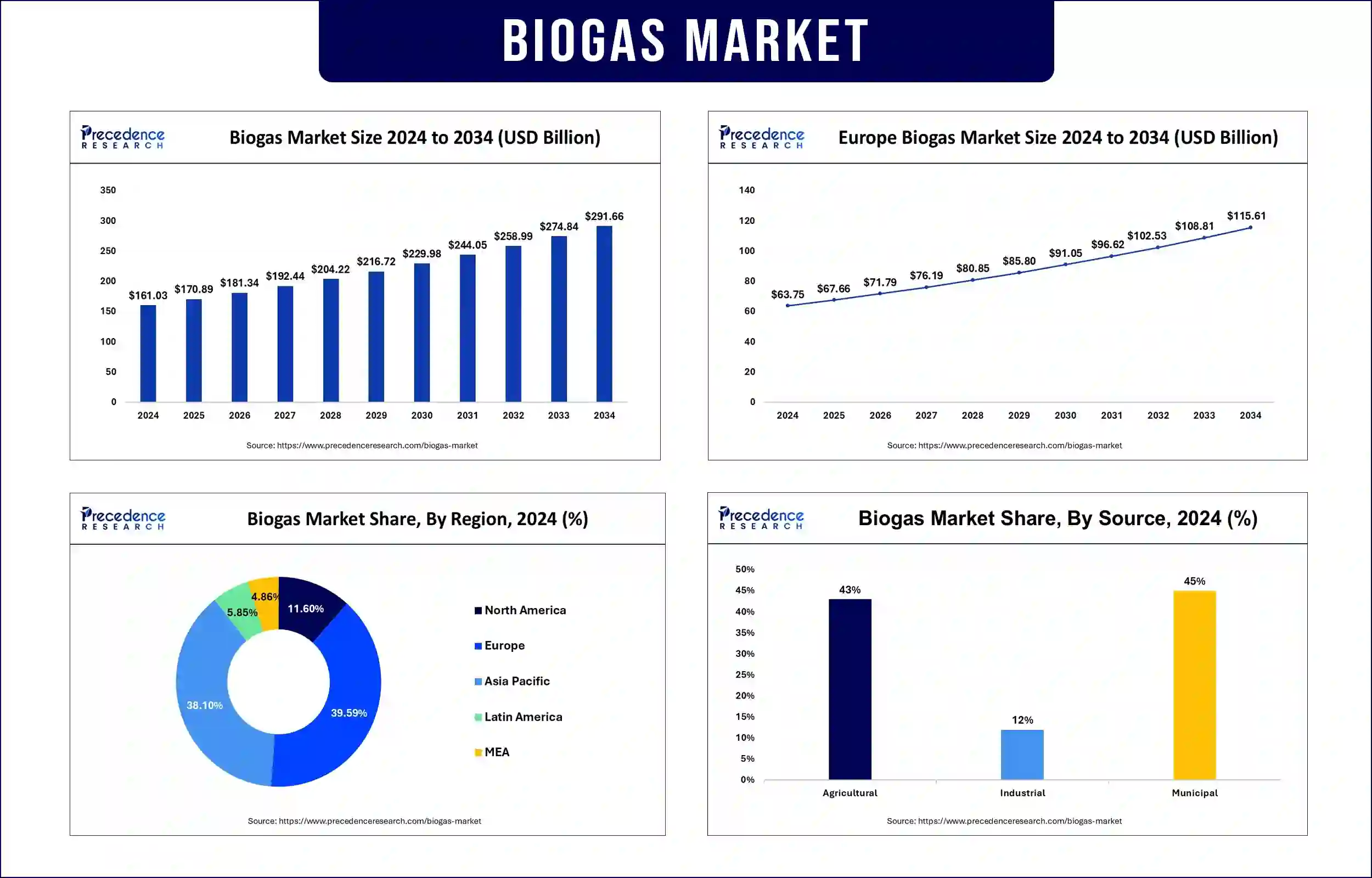 Biogas Market Revenue Statistics