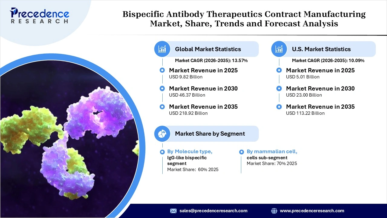 Bispecific Antibody Therapeutics Contract Manufacturing Market Revenue Statistics