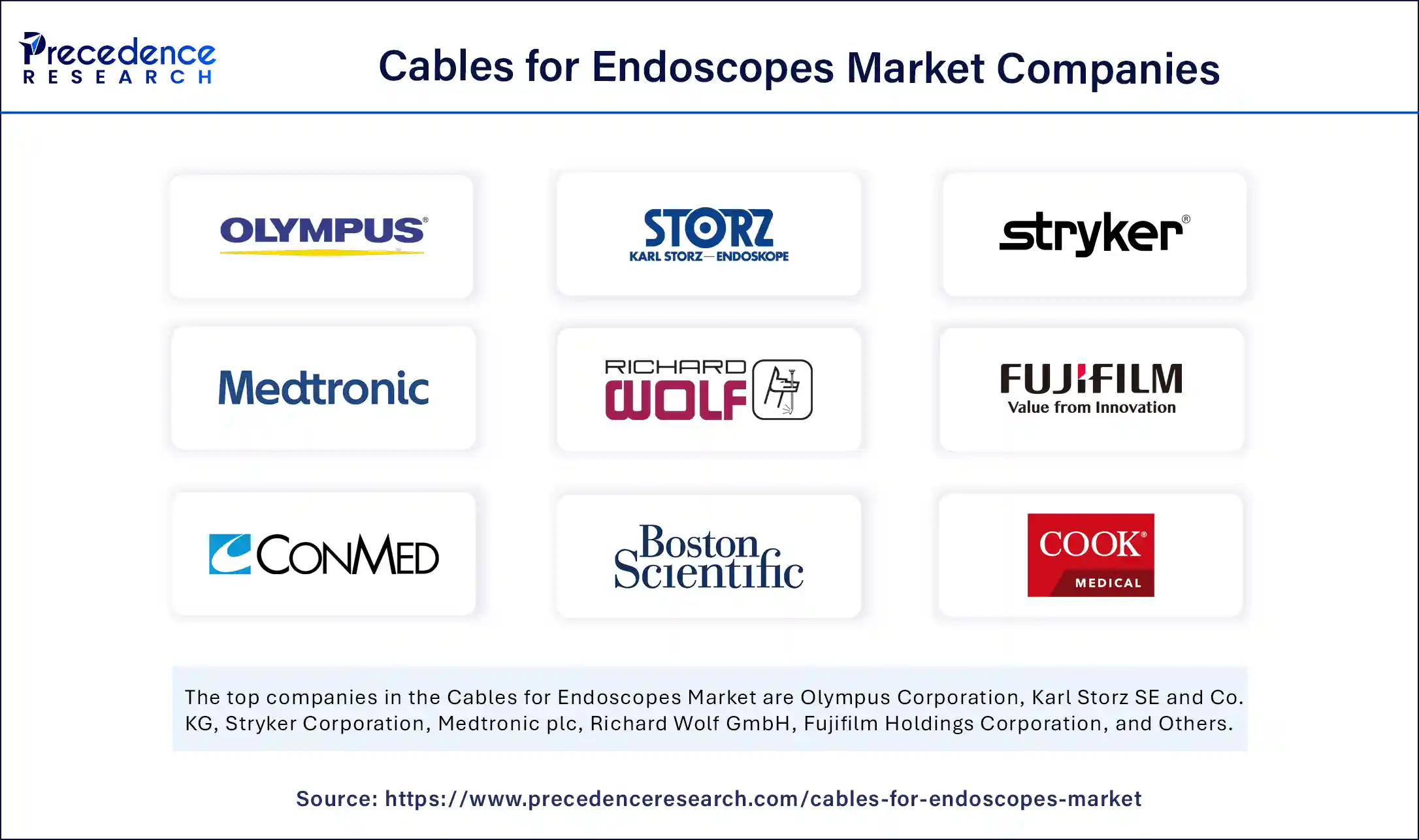Cables for Endoscopes Market Companies