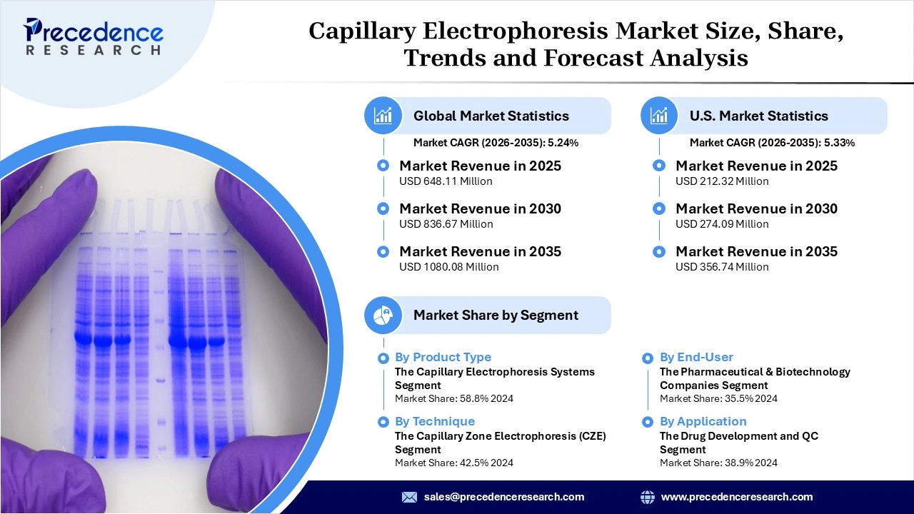 Capillary Electrophoresis Market Revenue Statistics