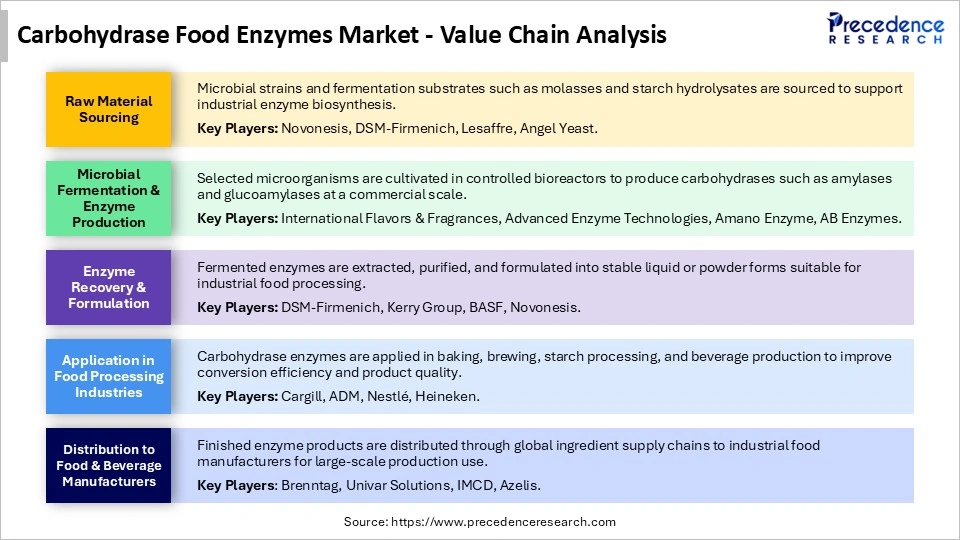 Carbohydrase Food Enzymes Market Value Chain Analysis