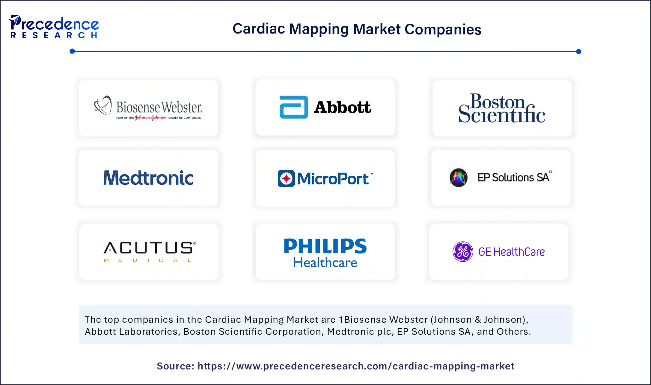 Cardiac Mapping Market Companies