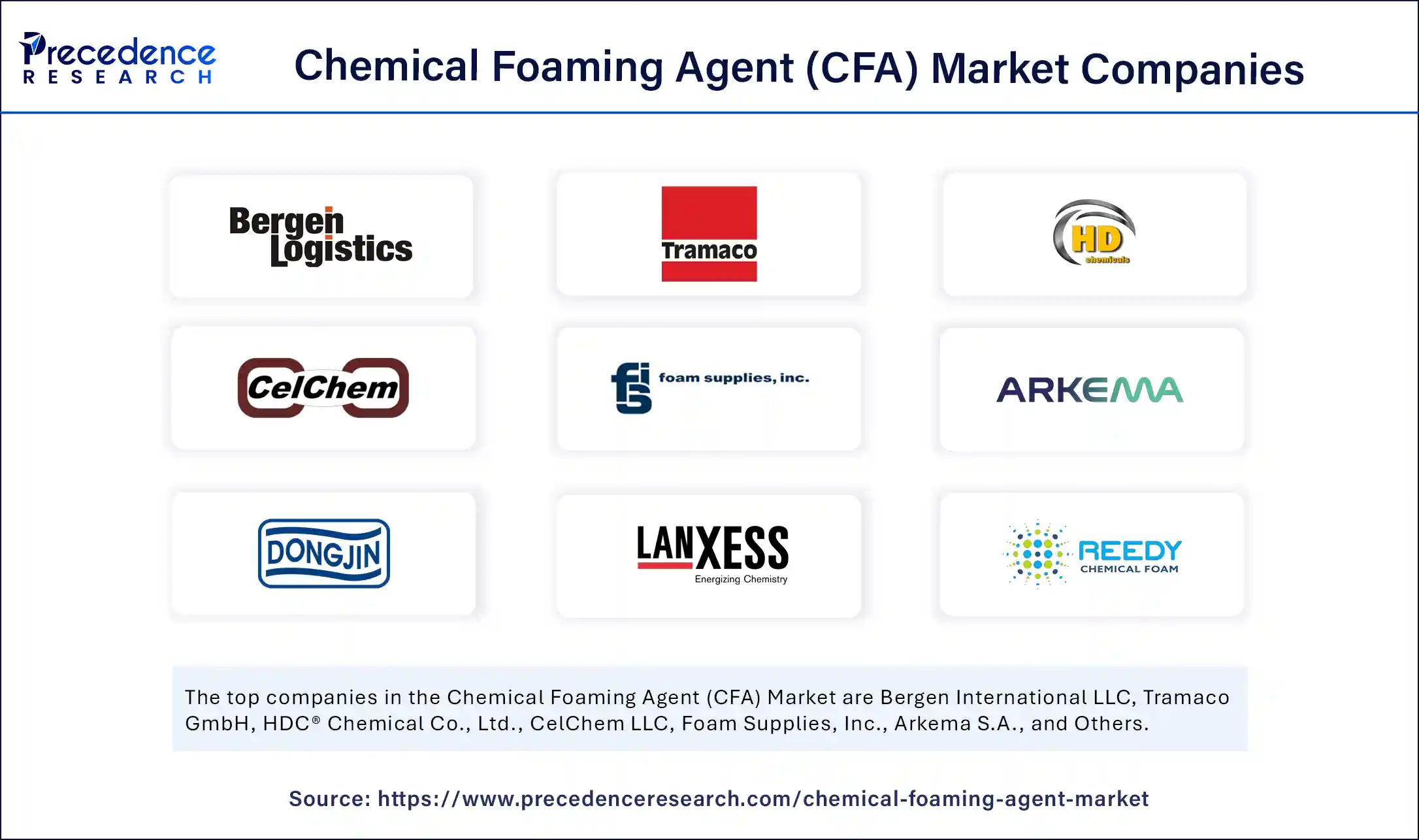 Chemical Foaming Agent (CFA) Market Companies