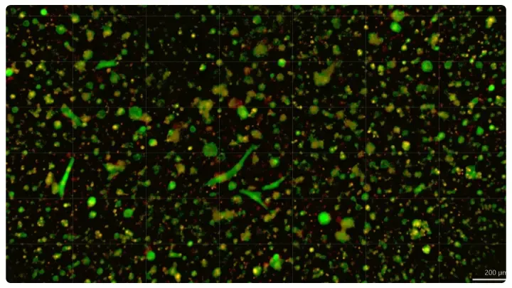 ChristianaCare Advances Personalized Cancer Therapy Research