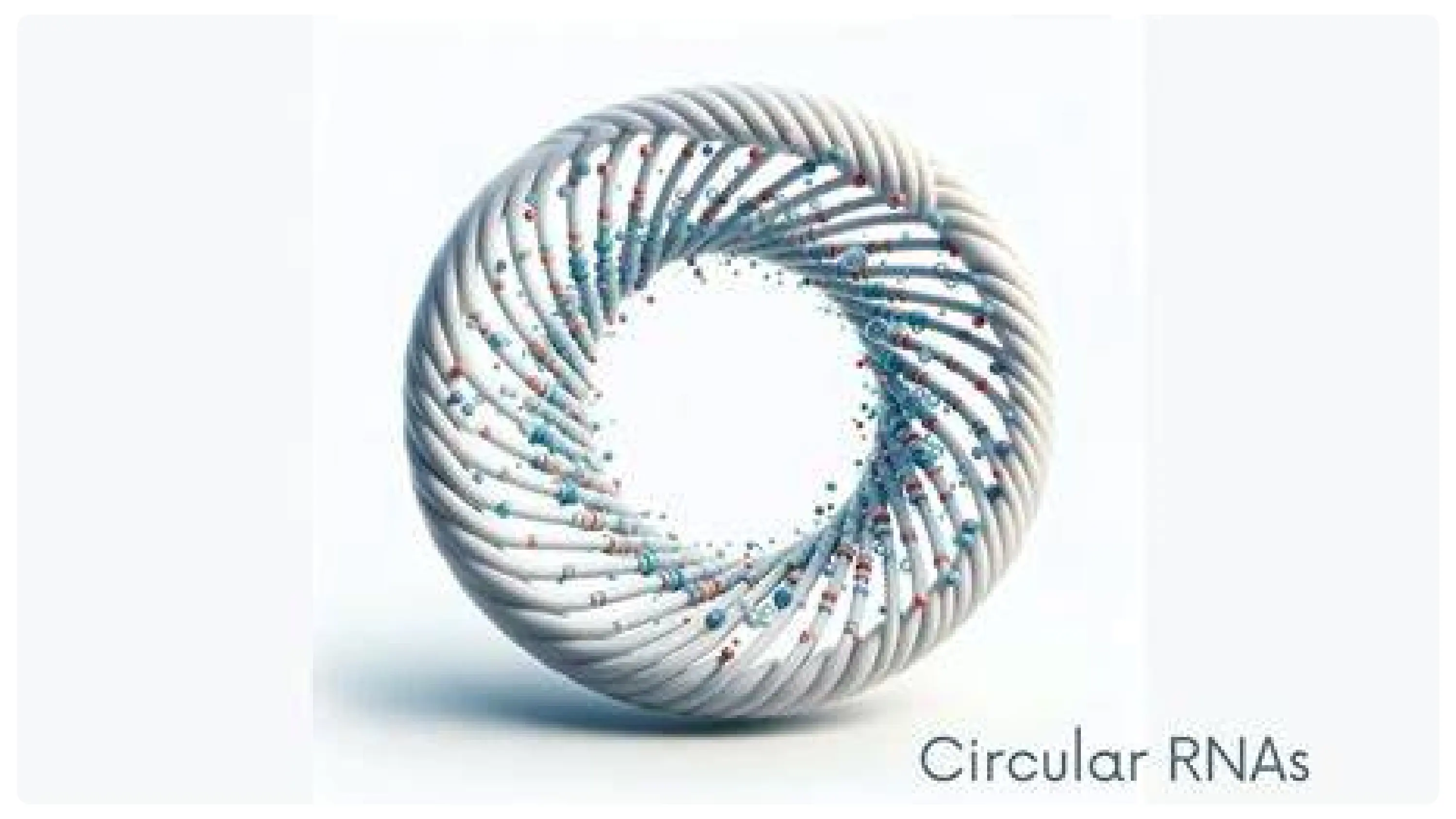 Circular RNA Biomarkers Circular RNA Biomarkers