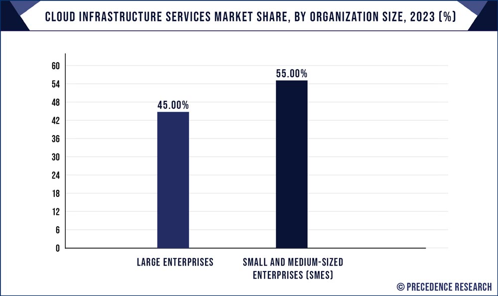 Cloud Infrastructure Services Market Share, By Organization Size, 2023 (%)