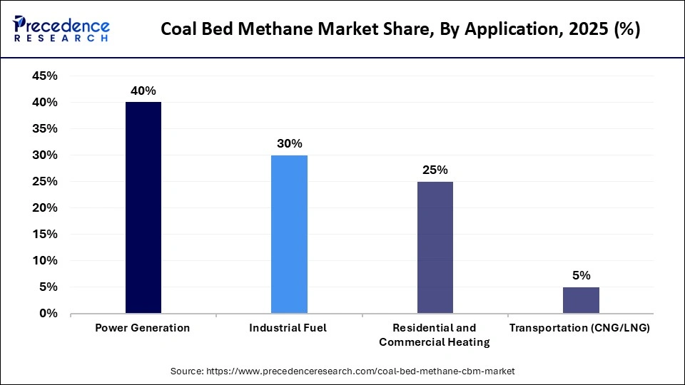 Coal Bed Methane Market Share, By Application, 2025 (%)
