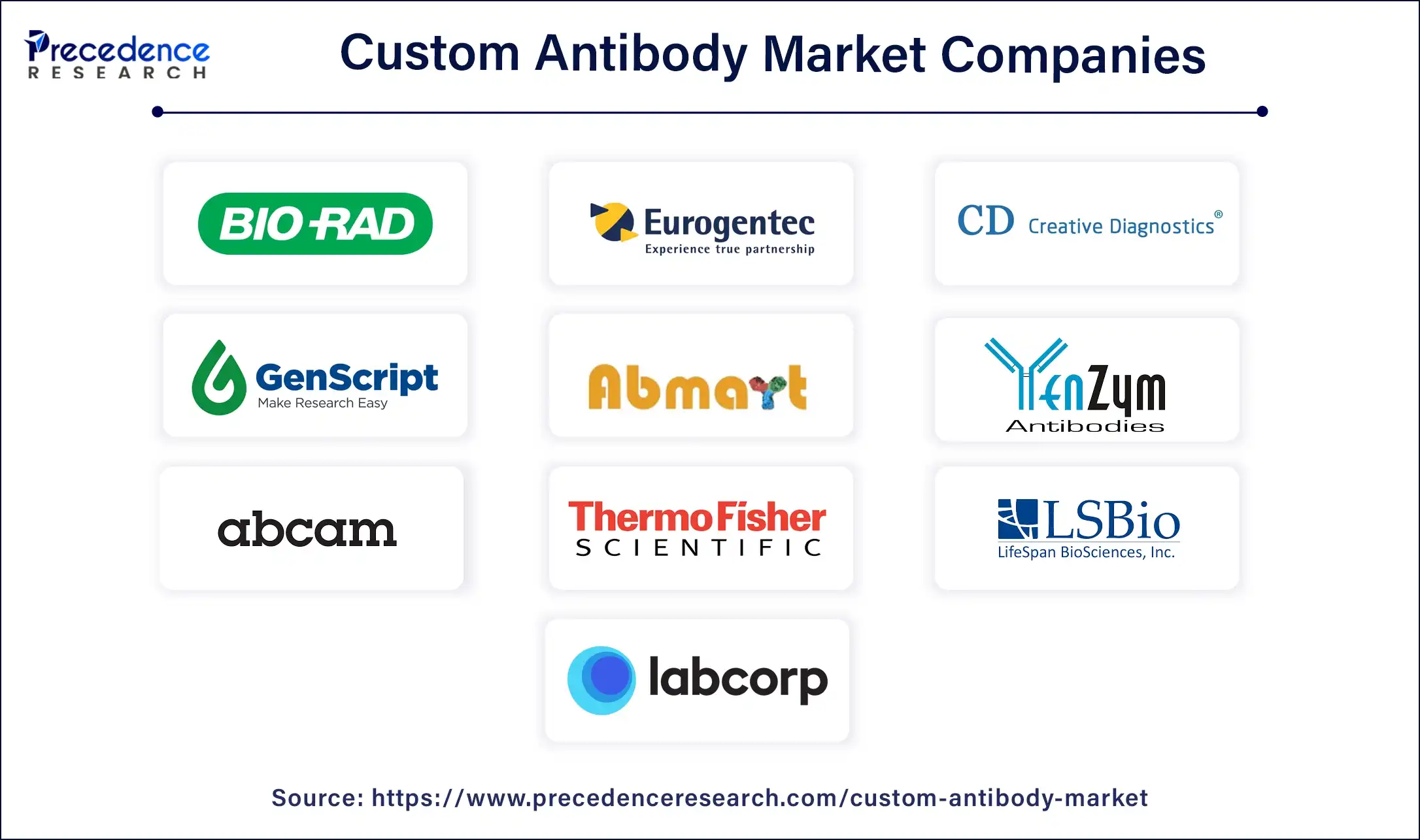 Custom Antibody Companies