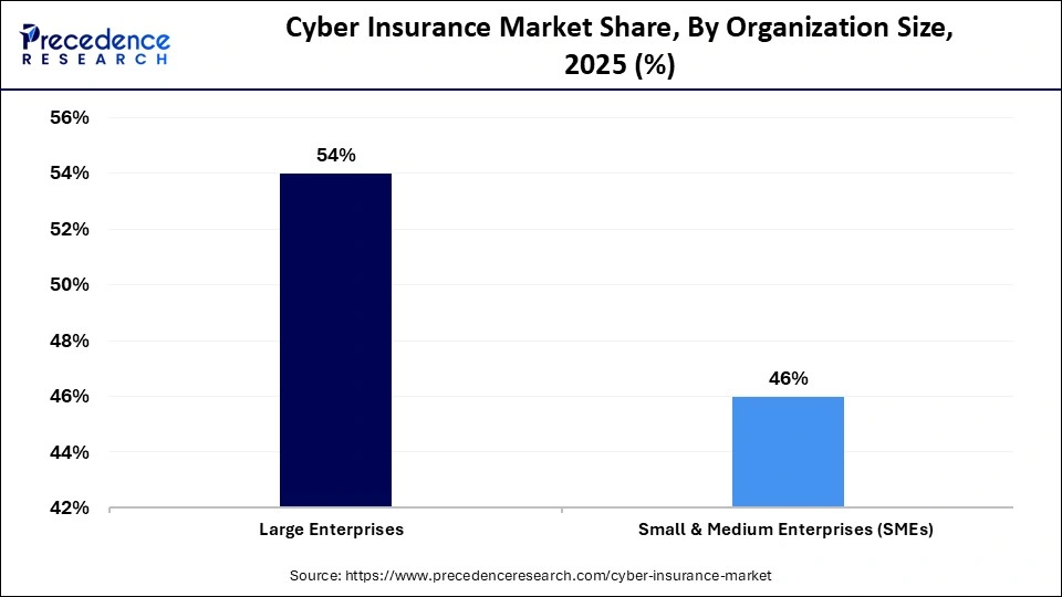 Cyber Insurance Market Share, By Organization Size, 2025 (%)