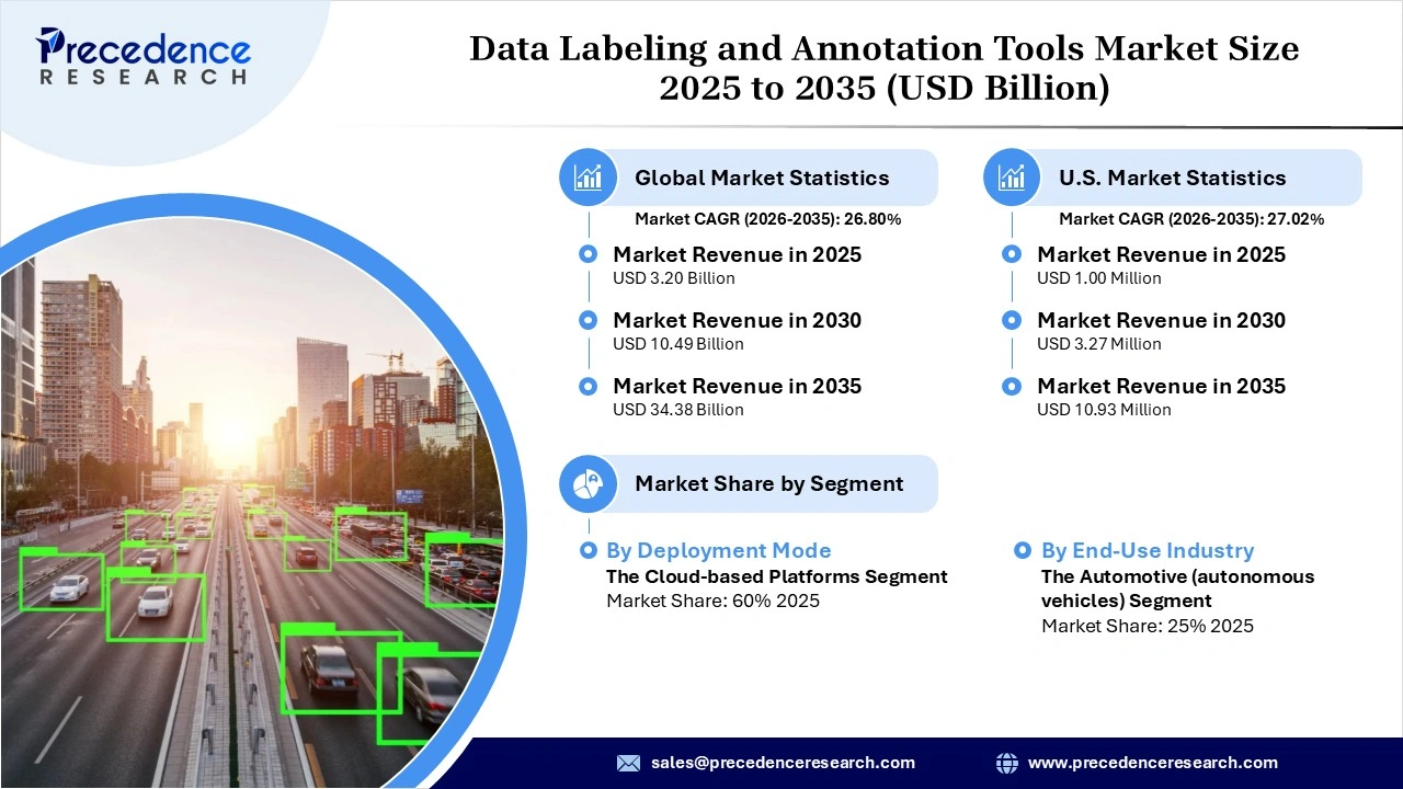 Data Labeling and Annotation Tools Market Revenue Statistics