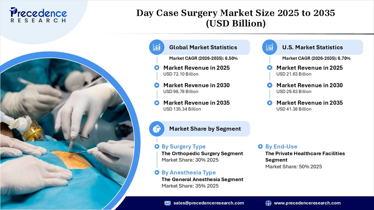 Day Case Surgery Market Revenue Statistics