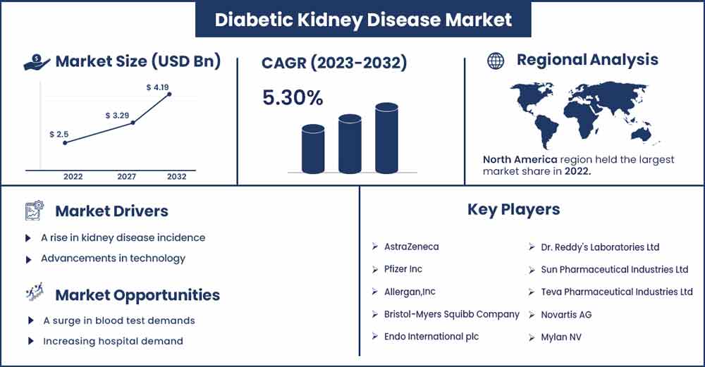 Diabetic Kidney Disease Market Size and Growth Rate From 2023 To 2032