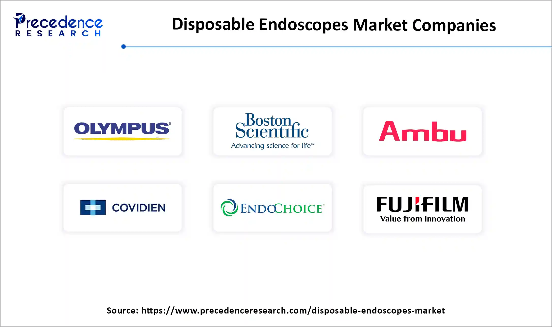 Disposable Endoscopes Market Companies