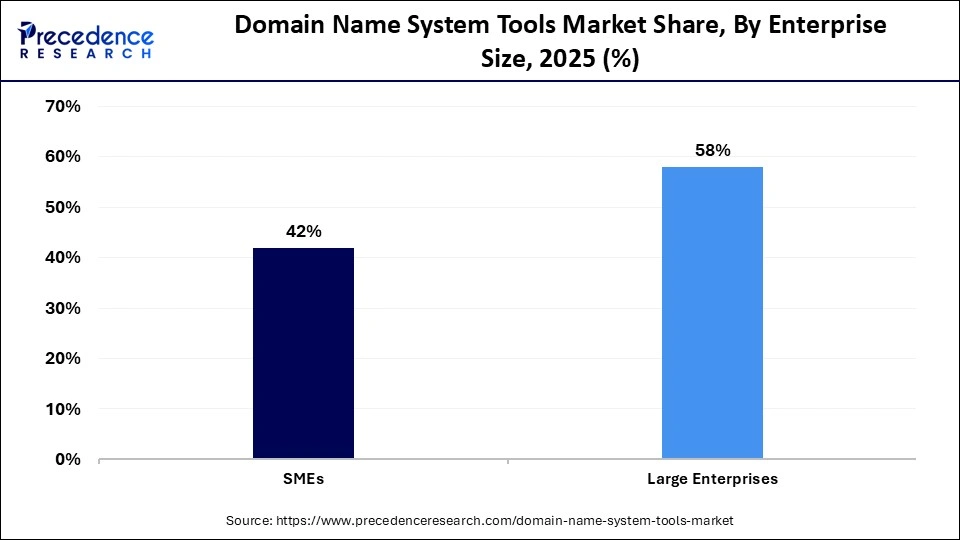 Domain Name System Tools Market Share, By Enterprise Size, 2025 (%)