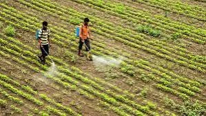 Domestic Agrochemicals Domestic Agrochemicals