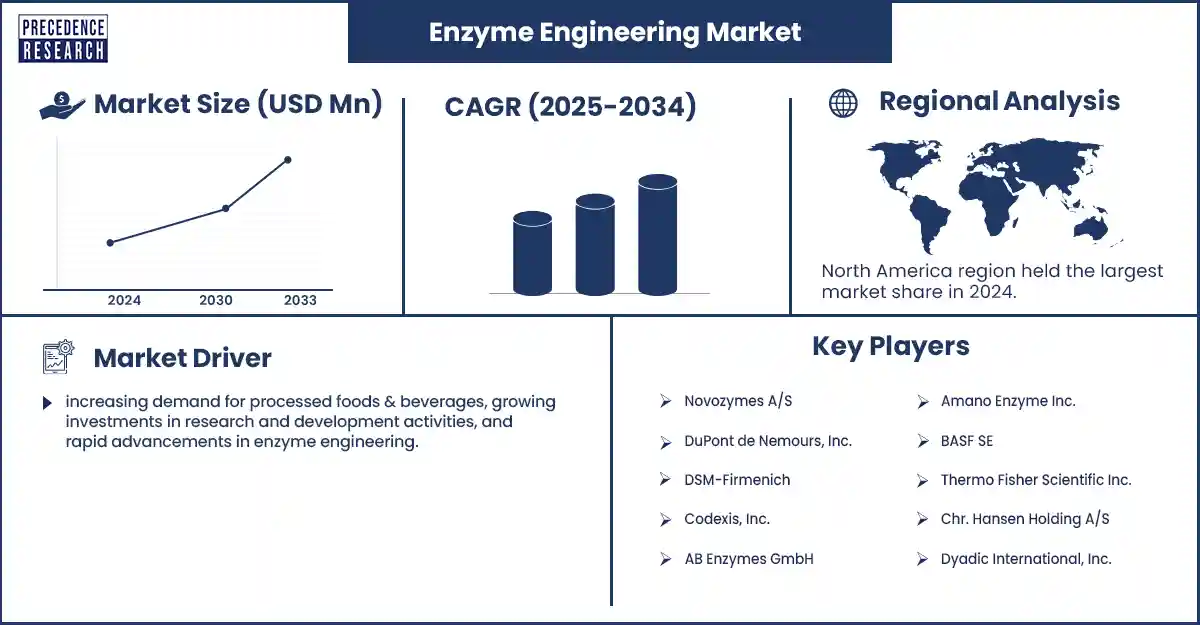 Enzyme Engineering Market Revenue Statistics