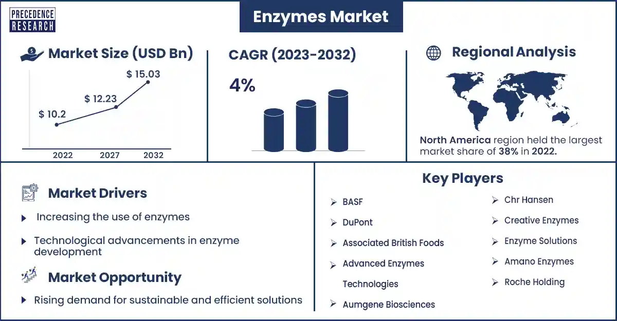 Enzymes Market Size and Growth Rate From 2023 To 2032