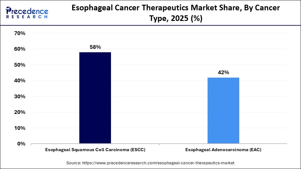 Esophageal Cancer Therapeutics Market Share, By Cancer Type, 2025 (%)