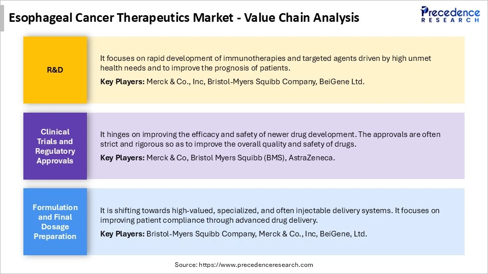 Esophageal Cancer Therapeutics Market Value Chain Analysis