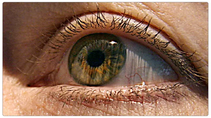 Eyeball Scanning