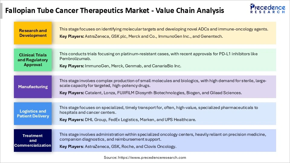 Fallopian Tube Cancer Therapeutics Market Value Chain Analysis