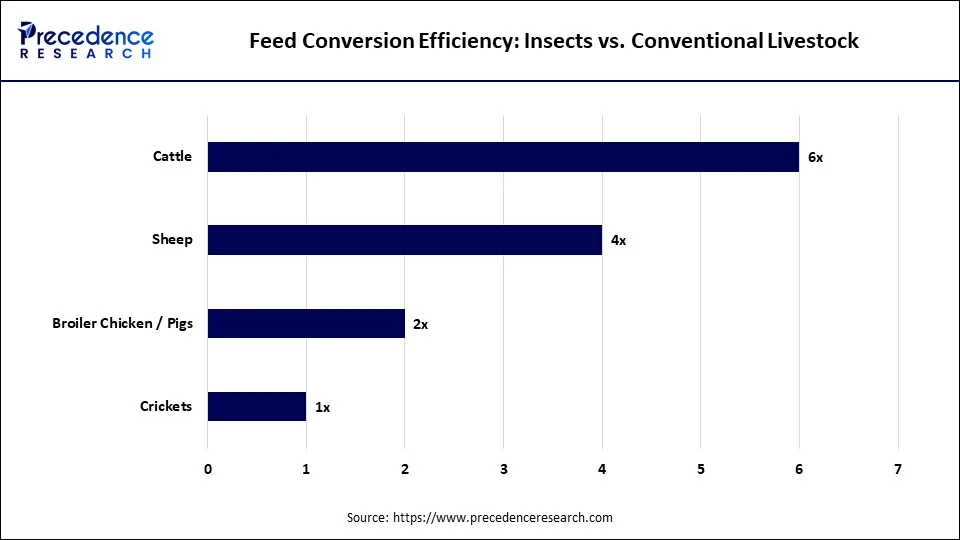 Feed Conversion Efficiency: Insects vs. Conventional Livestock