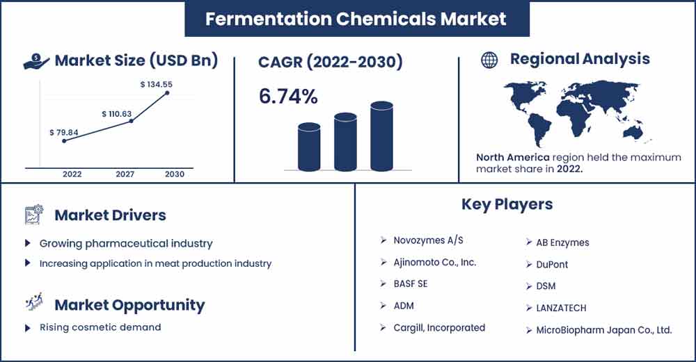 Fermentation Chemicals Market Size and Growth Rate From 2022 To 2030