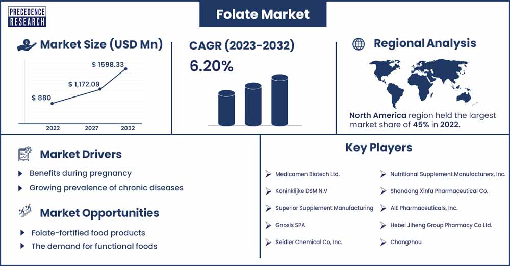 Folate Market Size and Growth Rate From 2023 To 2032
