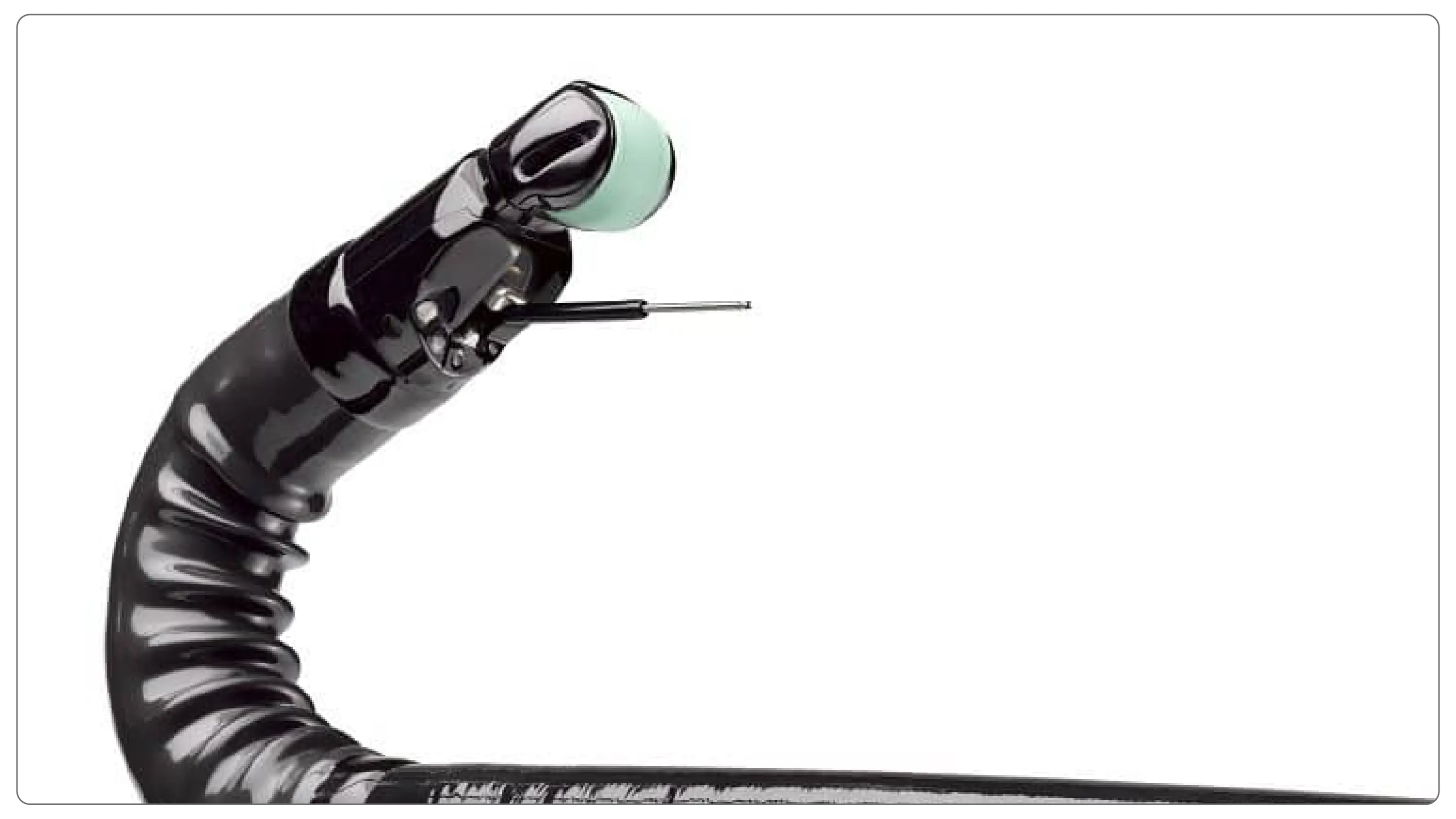 Fujifilm Ebus Device